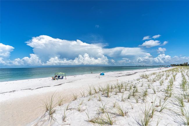 APT-302 - 403 Gulf Way, Condo with 2 bedrooms, 2 bathrooms and null parking in ST PETE BEACH FL | Image 19