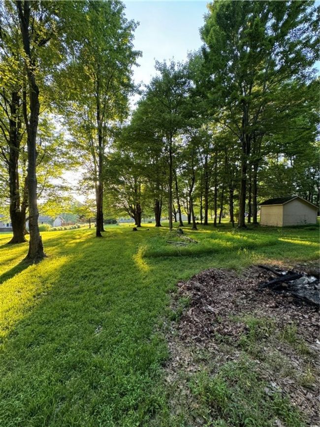 There are 2 sheds | Image 8