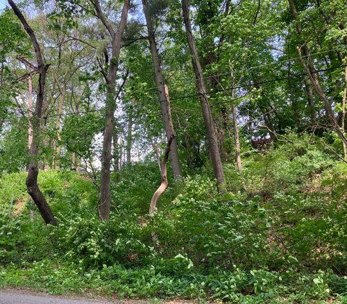 98 Ogden Rd, Portage, IN, 46368 | Card Image
