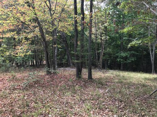 103 Bluffview Dr, Dunlap, TN, 37327 | Card Image