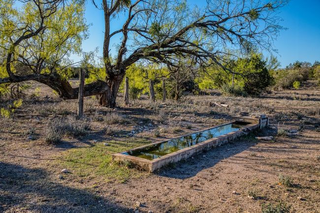 View of yard | Image 28