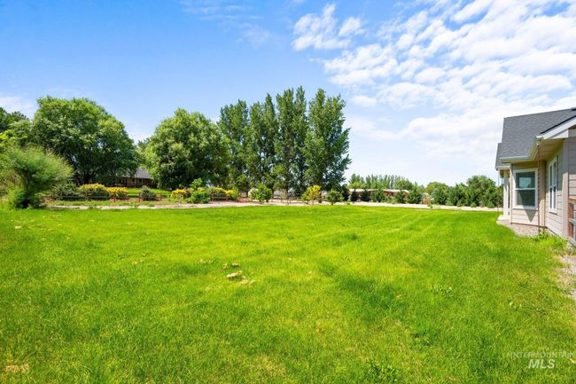 View of green lawn | Image 38