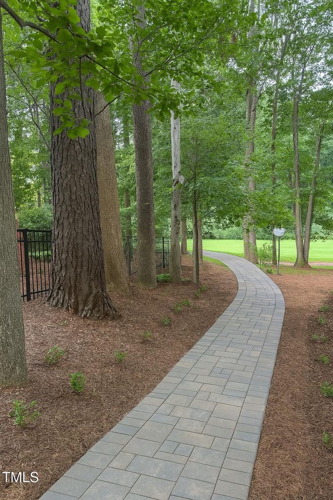 Cart Path | Image 25