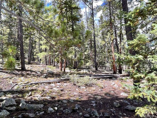 676 Dry Gulch Rd, Home with 0 bedrooms, 0 bathrooms and null parking in Fairplay CO | Image 16