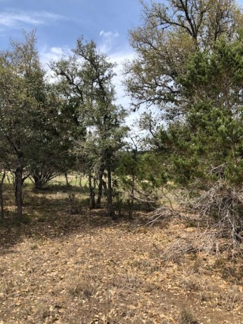 43 White Tail Run, Uvalde, TX, 78801-4780 | Card Image