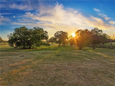 7 close up with trees during sunset | Image 1