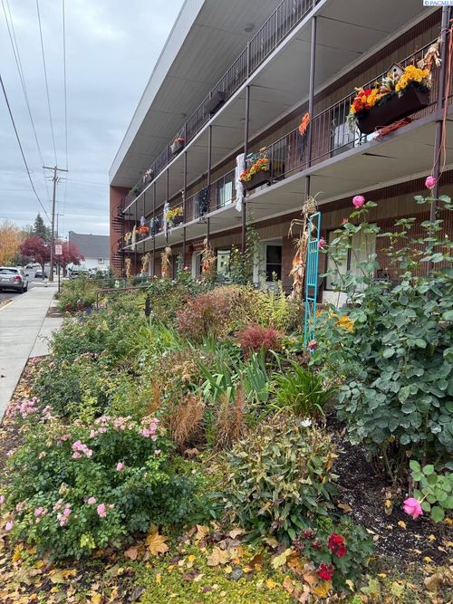 apt-304-203 N Mill St, Colfax, WA, 99111-1844 | Card Image