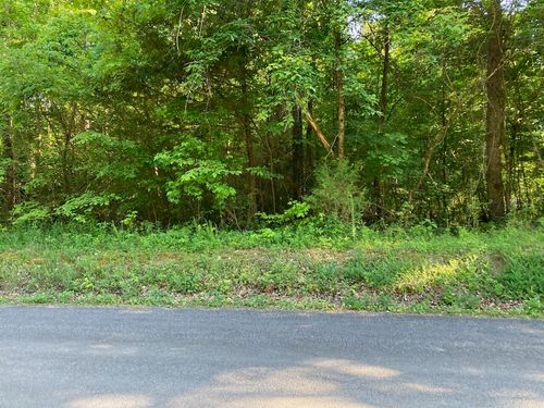 0 Horner Hollow Road, Birchwood, TN, 37308 | Card Image