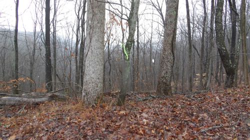 0 Savannah Dr, Smithville, TN, 37166 | Card Image