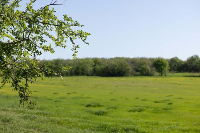 1346 Prairie Grove Rd, Home with 0 bedrooms, 0 bathrooms and null parking in Valley View TX | Image 7