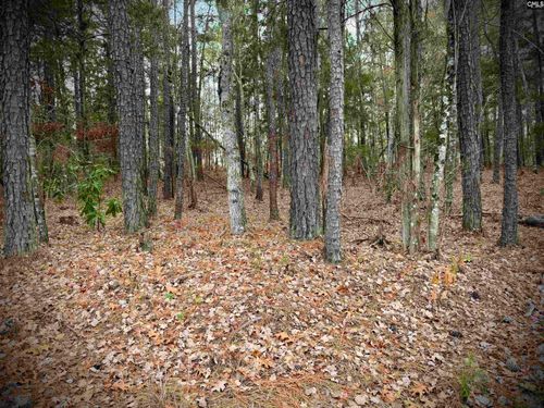 215 N &amp; Amber Lane, Blair, SC, 29015 | Card Image