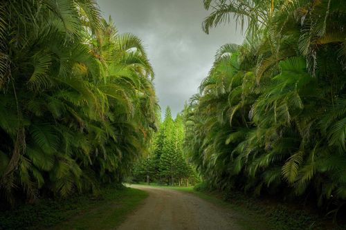 1949 W Kuiaha Rd, Haiku, HI, 96708-5563 | Card Image