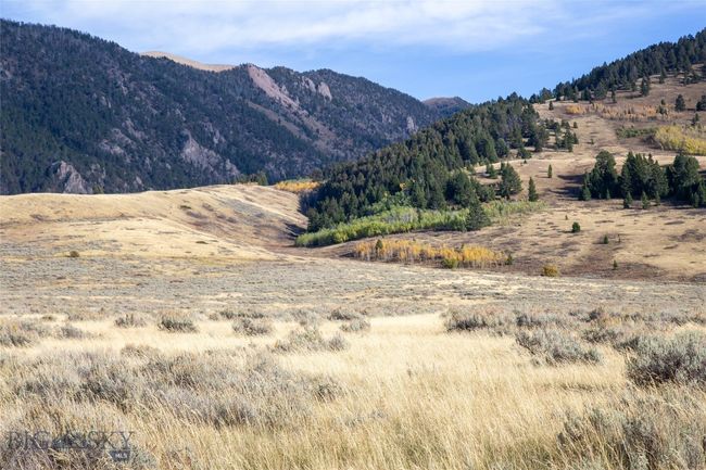77 Gvt Lot 6 Final Legal Tbd, Home with 0 bedrooms, 0 bathrooms and null parking in Cameron MT | Image 24