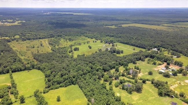 00 Lloyd Fregia Road, Home with 0 bedrooms, 0 bathrooms and null parking in Batson TX | Image 17
