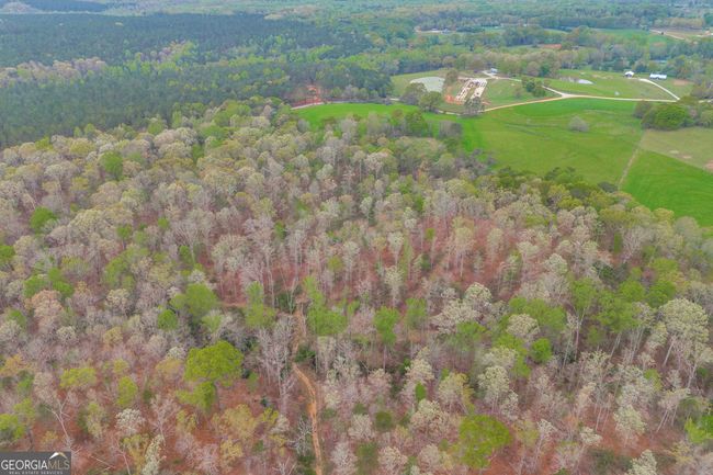 0 Carey Ford Rd, Home with 0 bedrooms, 0 bathrooms and null parking in Danielsville GA | Image 9
