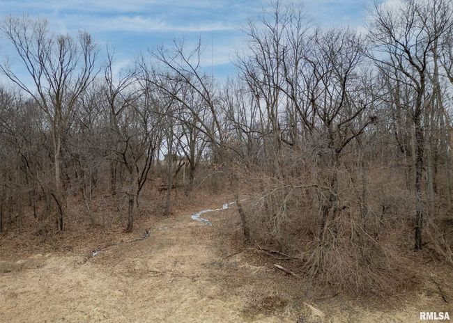9721 234 Th St N, House other with 3 bedrooms, 2 bathrooms and null parking in Port Byron IL | Image 37