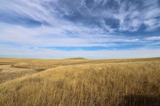 Parcel #42 Cisco Ln, Home with 0 bedrooms, 0 bathrooms and null parking in Caputa SD | Image 8