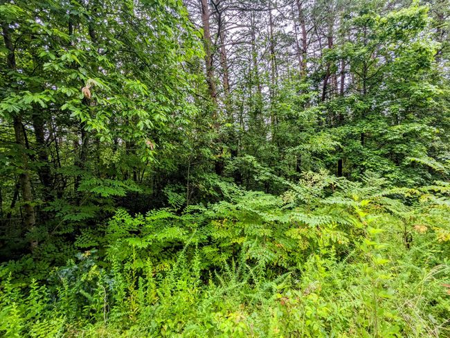 32 Lakeview Dr, Home with 0 bedrooms, 0 bathrooms and null parking in Turtletown TN | Image 9
