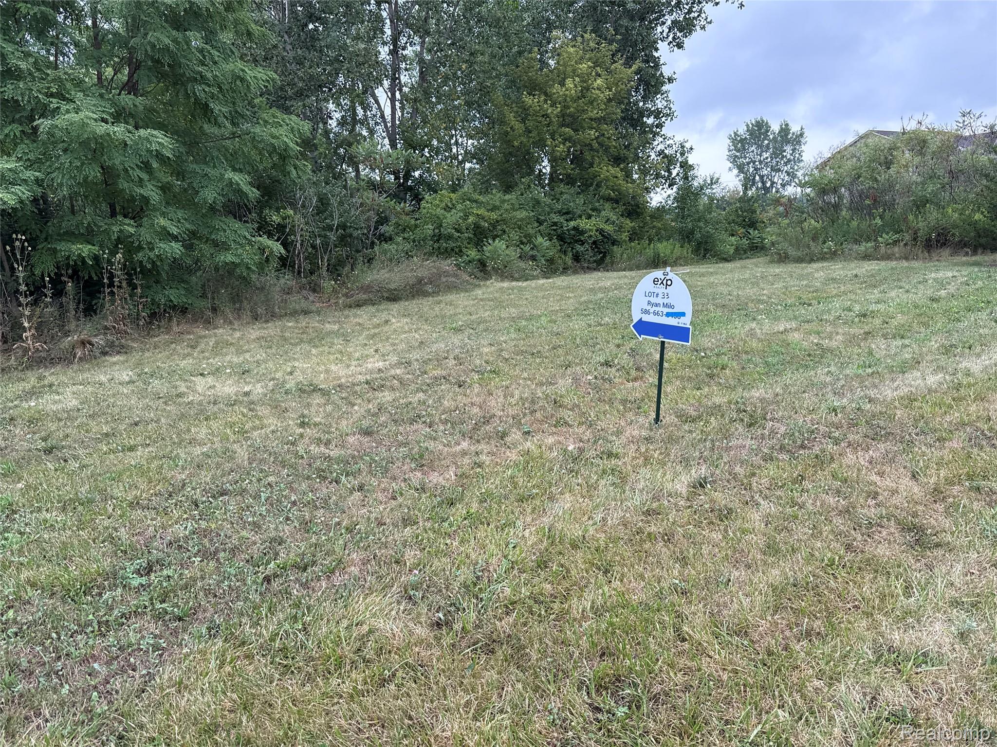 Land in Augusta Charter Township 3