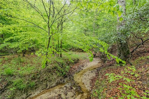 TBD Splendor Lane, Mount Airy, NC, 27030 | Card Image