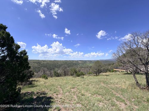 Lot 17 Spencer Rd, Alto, NM, 88312 | Card Image