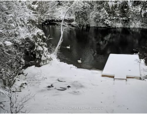 3309 Riverdale Dr, Washago, ON, L0K2B0 | Card Image