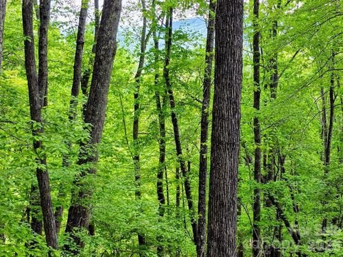 12-00 Hickory Springs Road, Burnsville, NC, 28714 | Card Image