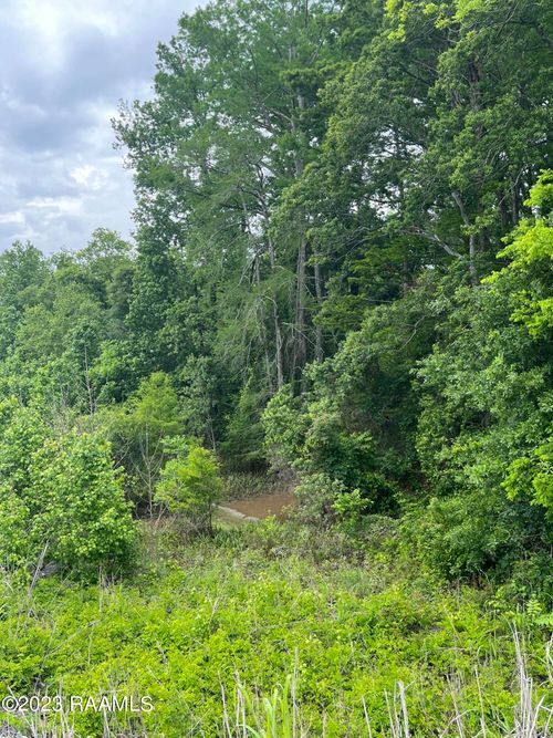 Tbd Highway 361, Washington, LA, 70589 | Card Image