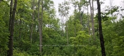 1154 Delia Road, Bracebridge, ON, P0B1L0 | Card Image