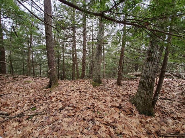 00 Berry Farms Rd, Home with 0 bedrooms, 0 bathrooms and null parking in Bristol NH | Image 21