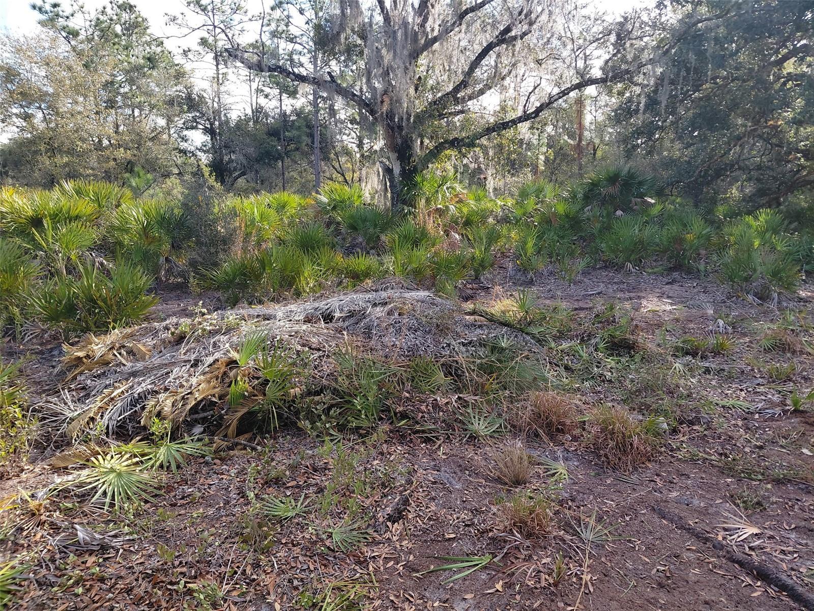 Land in INDIAN LAKE ESTATES 4