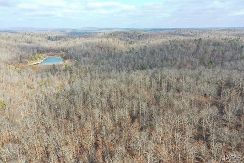 TBD County Road 118, Annapolis, MO, 63620 | Card Image