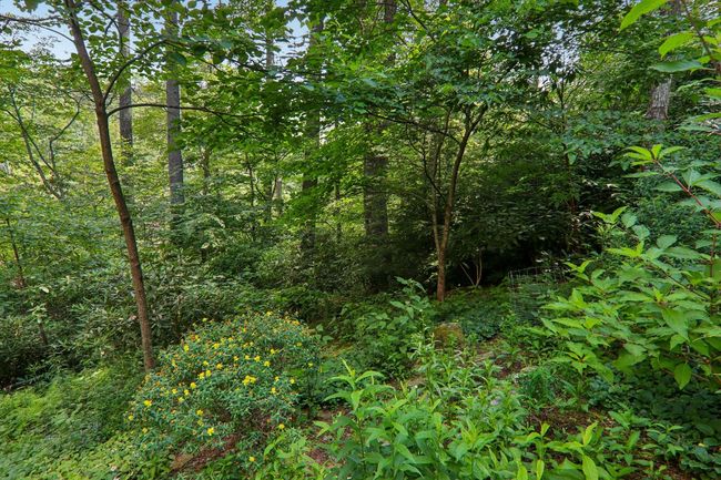 219 Hiwassee Rd, House other with 3 bedrooms, 4 bathrooms and null parking in Lake Toxaway NC | Image 53