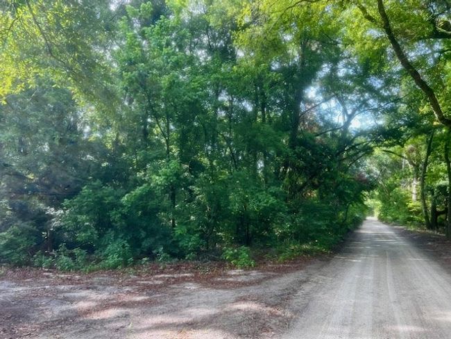 1609 N Main St, Home with 0 bedrooms, 0 bathrooms and null parking in Bell FL | Image 7