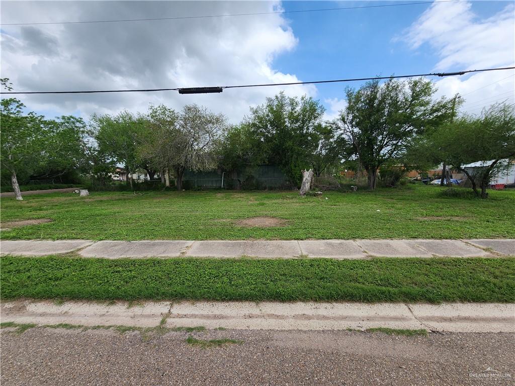 Land in Raymondville