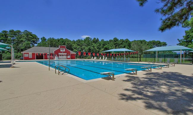 Lounge chairs and shade sails surround the pool and provide a great spot to read while you tan | Image 44