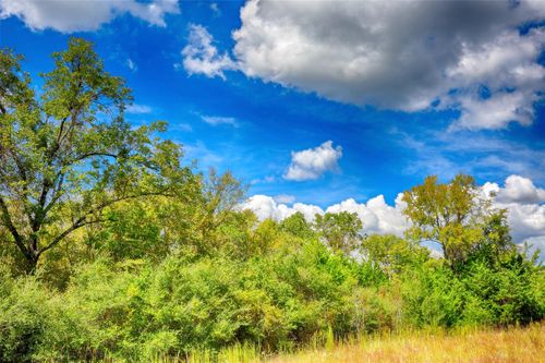 TBD Windy Oaks, Huntsville, TX, 77320 | Card Image