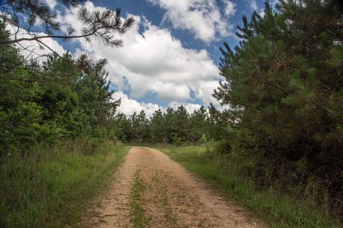 0-0 Old State Hwy, Sugar Tree, TN, 38380 | Card Image