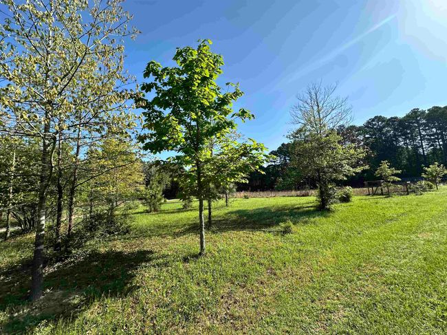 725 Cr 4364, House other with 3 bedrooms, 2 bathrooms and null parking in Spurger TX | Image 28