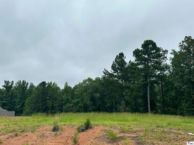 00 Highway 146, Home with 0 bedrooms, 0 bathrooms and null parking in Ruston LA | Image 12