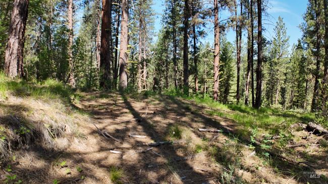 36 Meadow Lark Cir, Home with 0 bedrooms, 0 bathrooms and null parking in Idaho City ID | Image 25