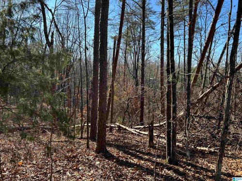 10-113 N Highland Dr, COLUMBIANA, AL, 35051-9510 | Card Image