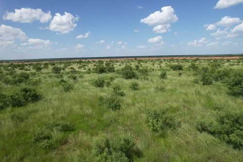 Tract 15 Tbd Cr 495, Hawley, TX, 79525 | Card Image