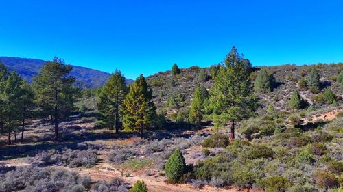 1 Butterfly Peak Rd, Mountain Center, CA, 92561 | Card Image