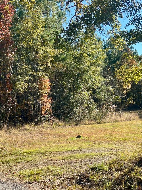 00 Saint Julian Dr, Cross, SC, 29436 | Card Image