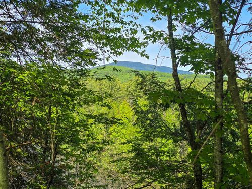 150 Spur Rd, Bloomfield, VT, 05905 | Card Image