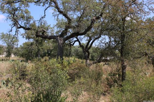 TBD Stone Loop, Castroville, TX, 78009 | Card Image