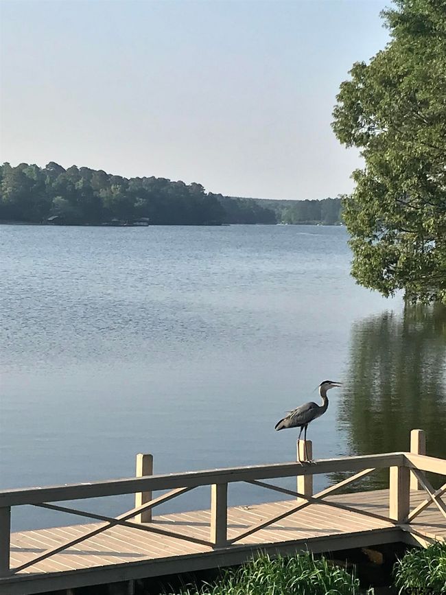 944 Clear Water Trl, House other with 3 bedrooms, 2 bathrooms and null parking in Holly Lake Ranch TX | Image 39