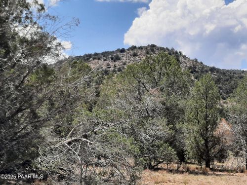 342 W Dragon Nest Rd, Seligman, AZ, 86337 | Card Image