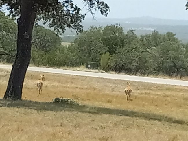 View of community | Image 13